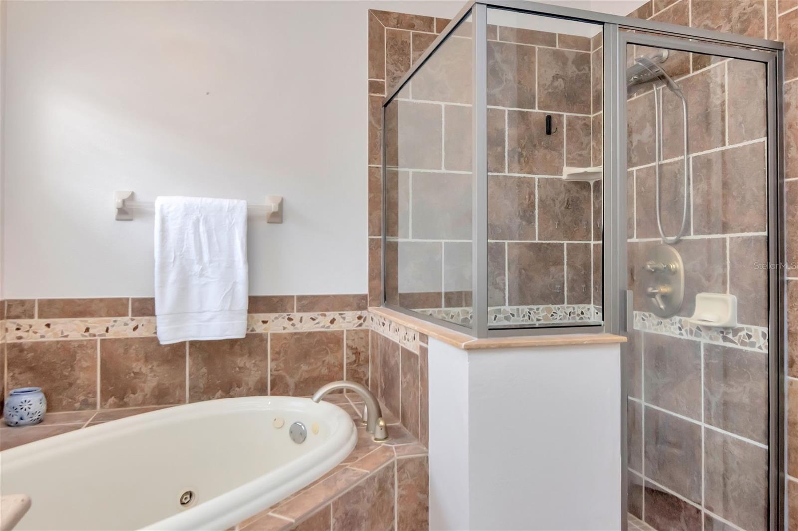 Primary Bath with jetted tub and shower