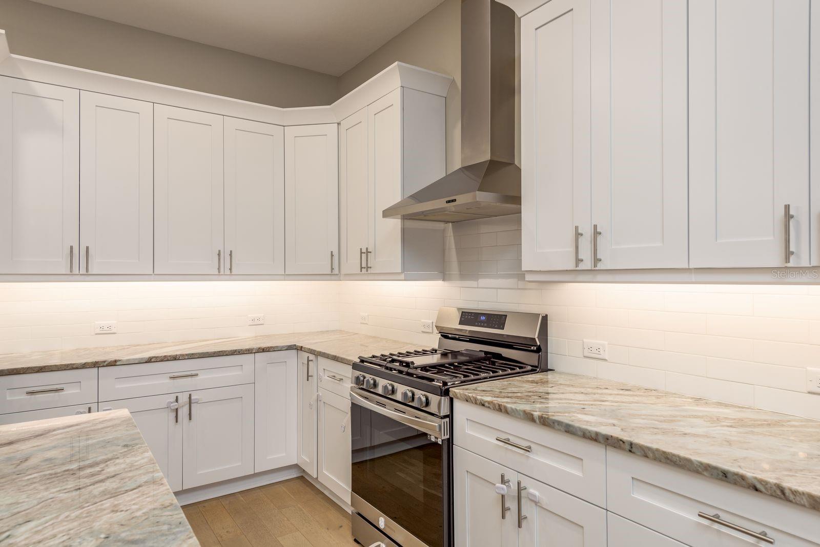 Kitchen Stove and Counters