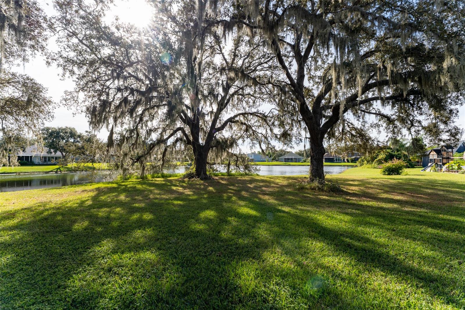 Mature Trees with lots of shade