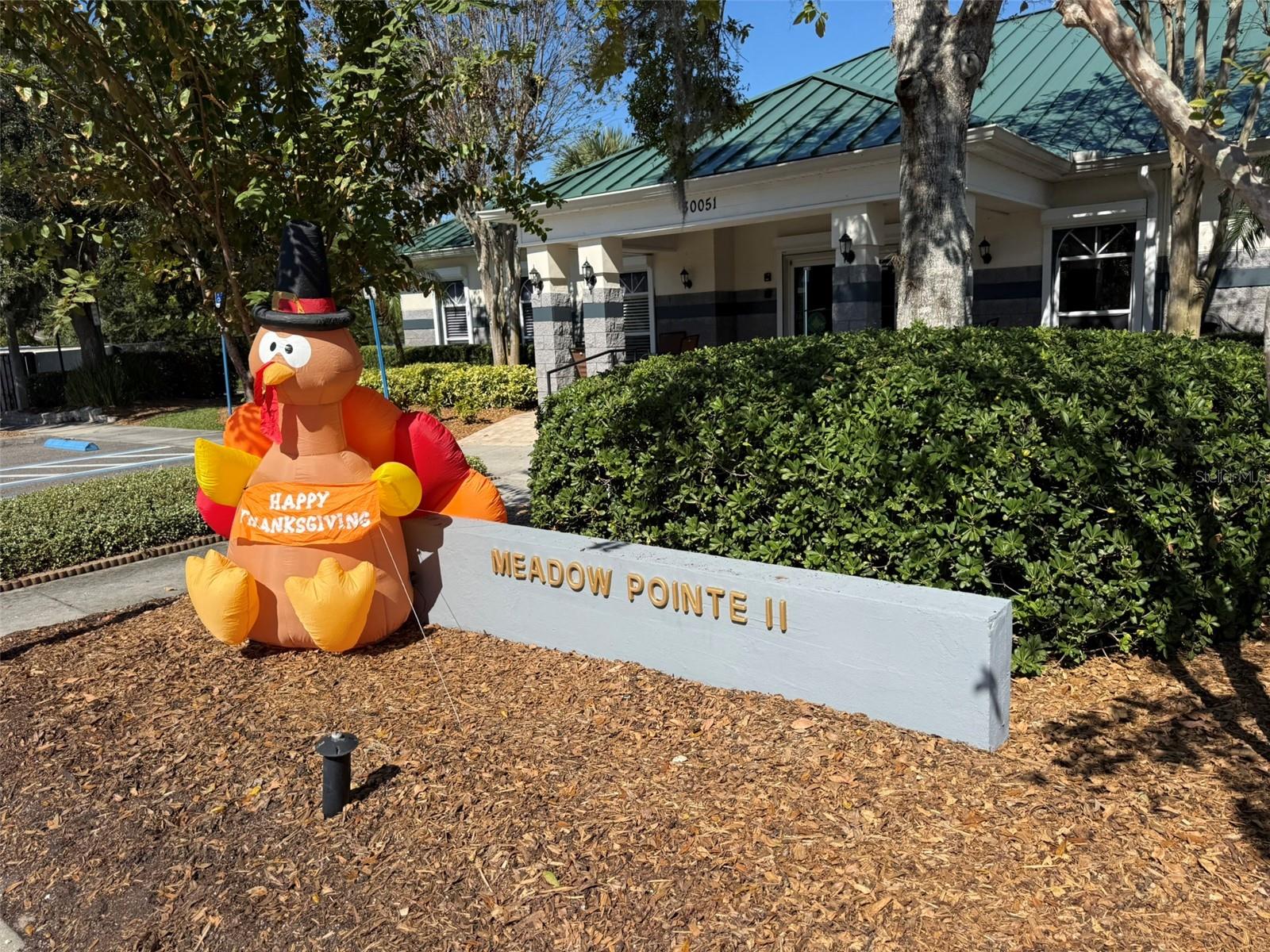 Meadow Pointe2 Center