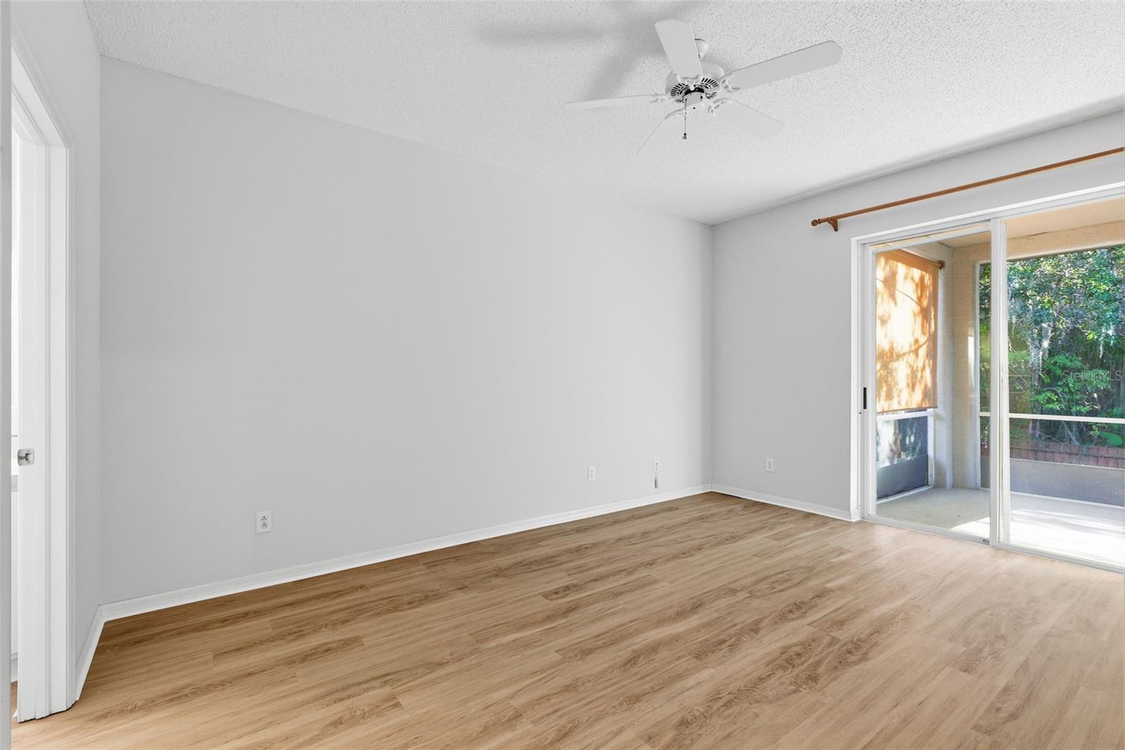 Primary Another View