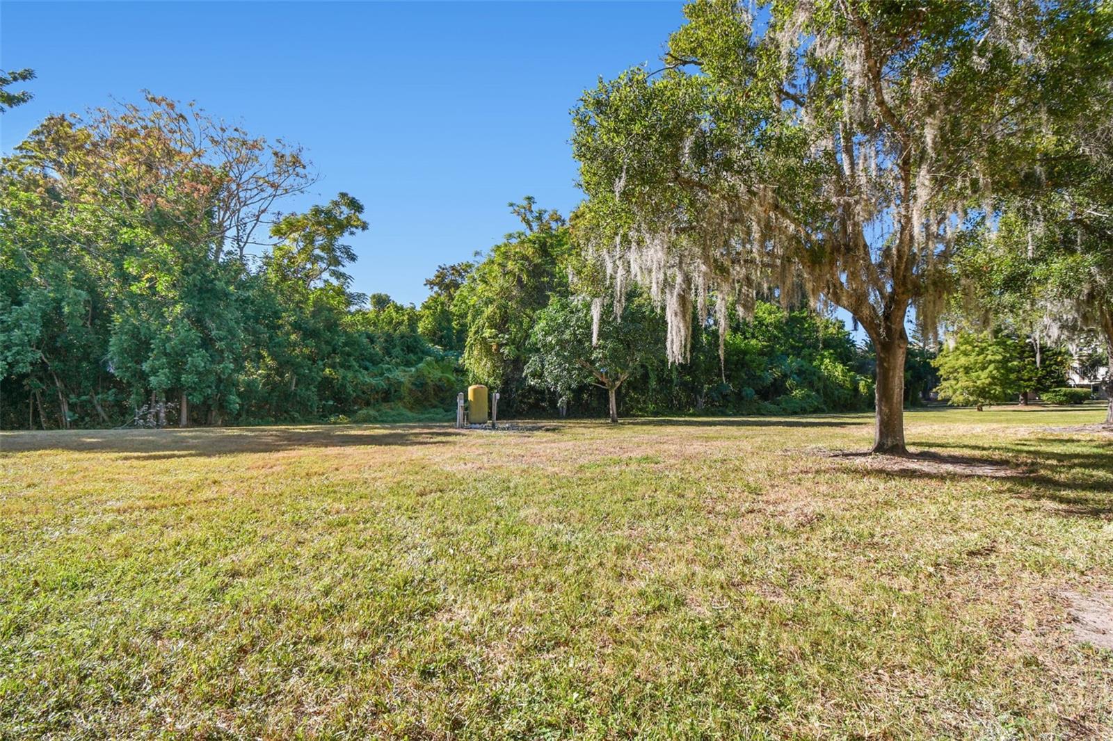 yard back of the building