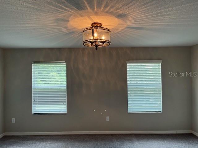 Beautiful Light Fixture in Primary Bedroom.