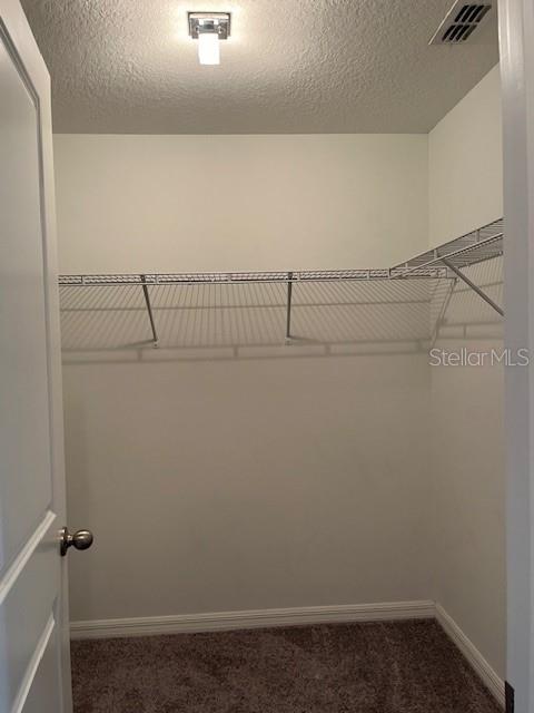 Primary Bedroom with Walk-in Closet