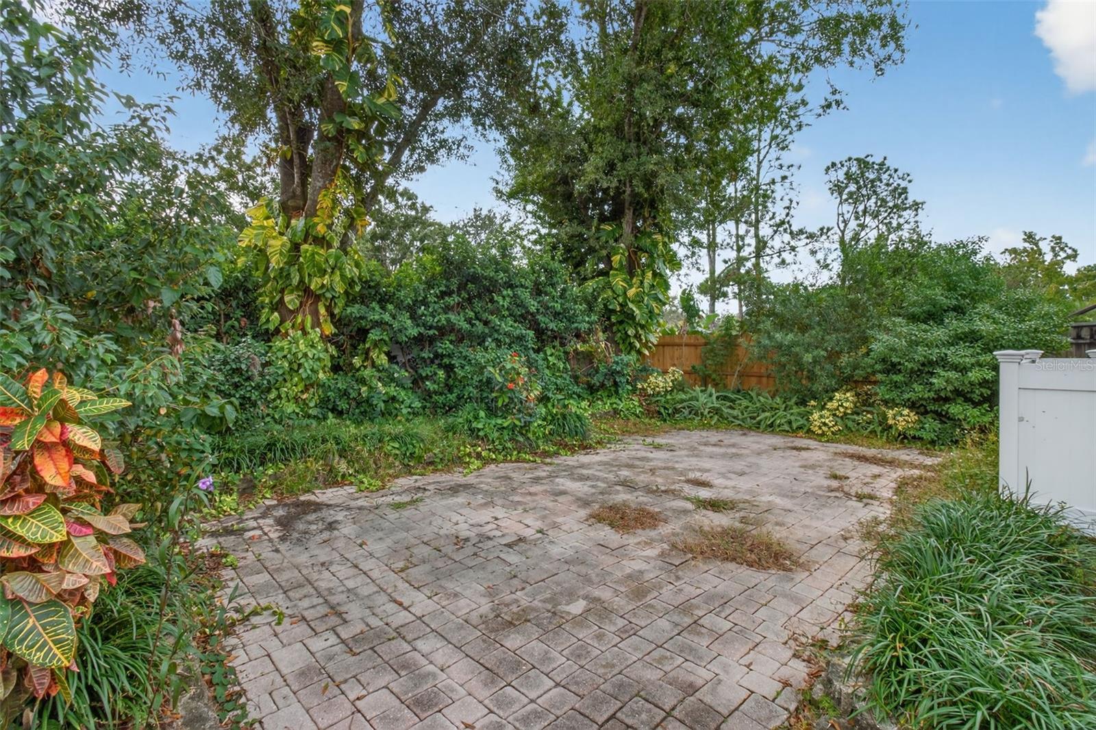 Fenced in private backyard. NOT near any water.