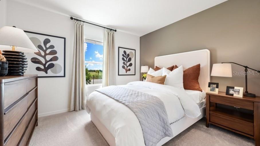 Representative Photos