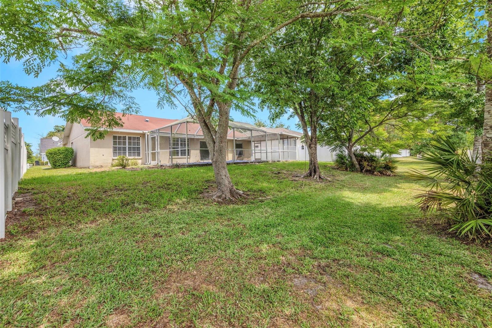 Rear Yard