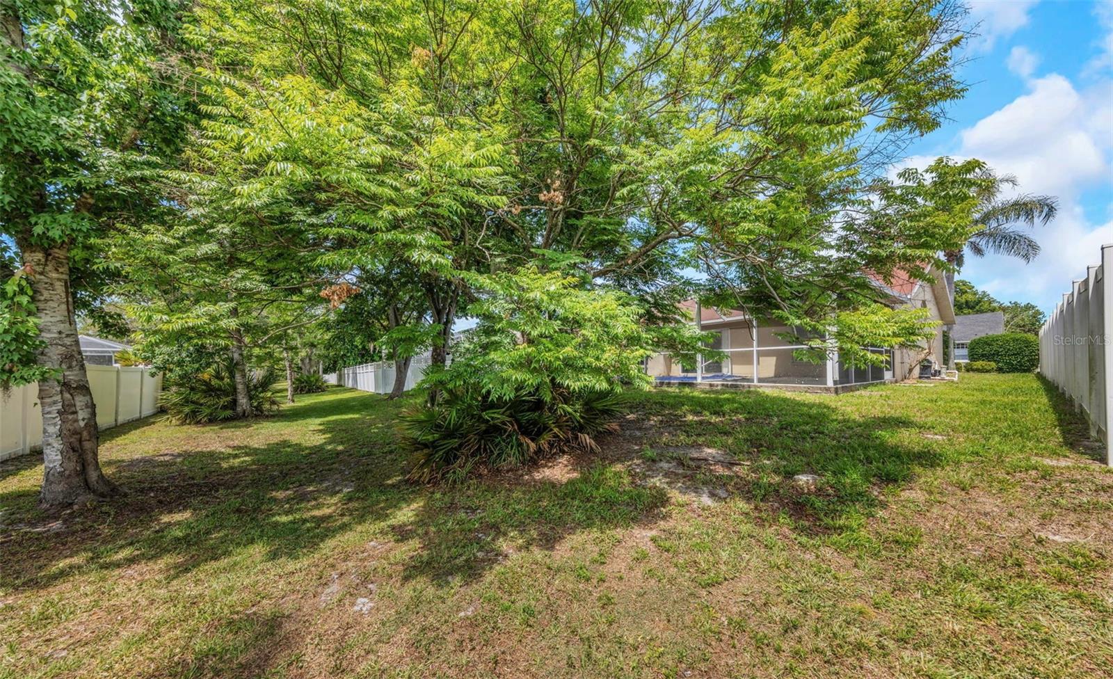 Rear Yard - Reverse View
