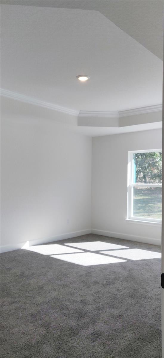 Primary with Tray Ceiling