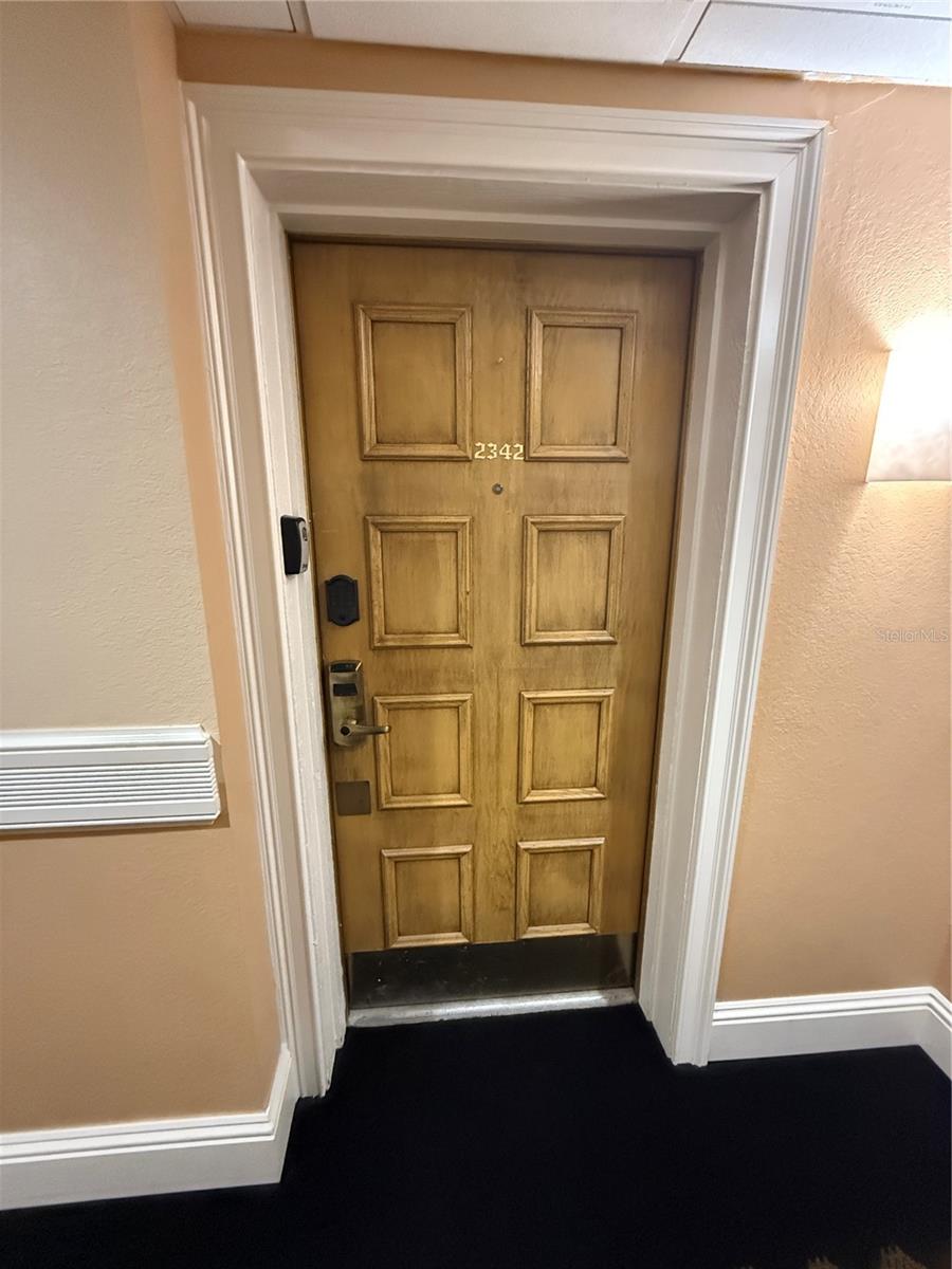 Front door 1st floor interior hall