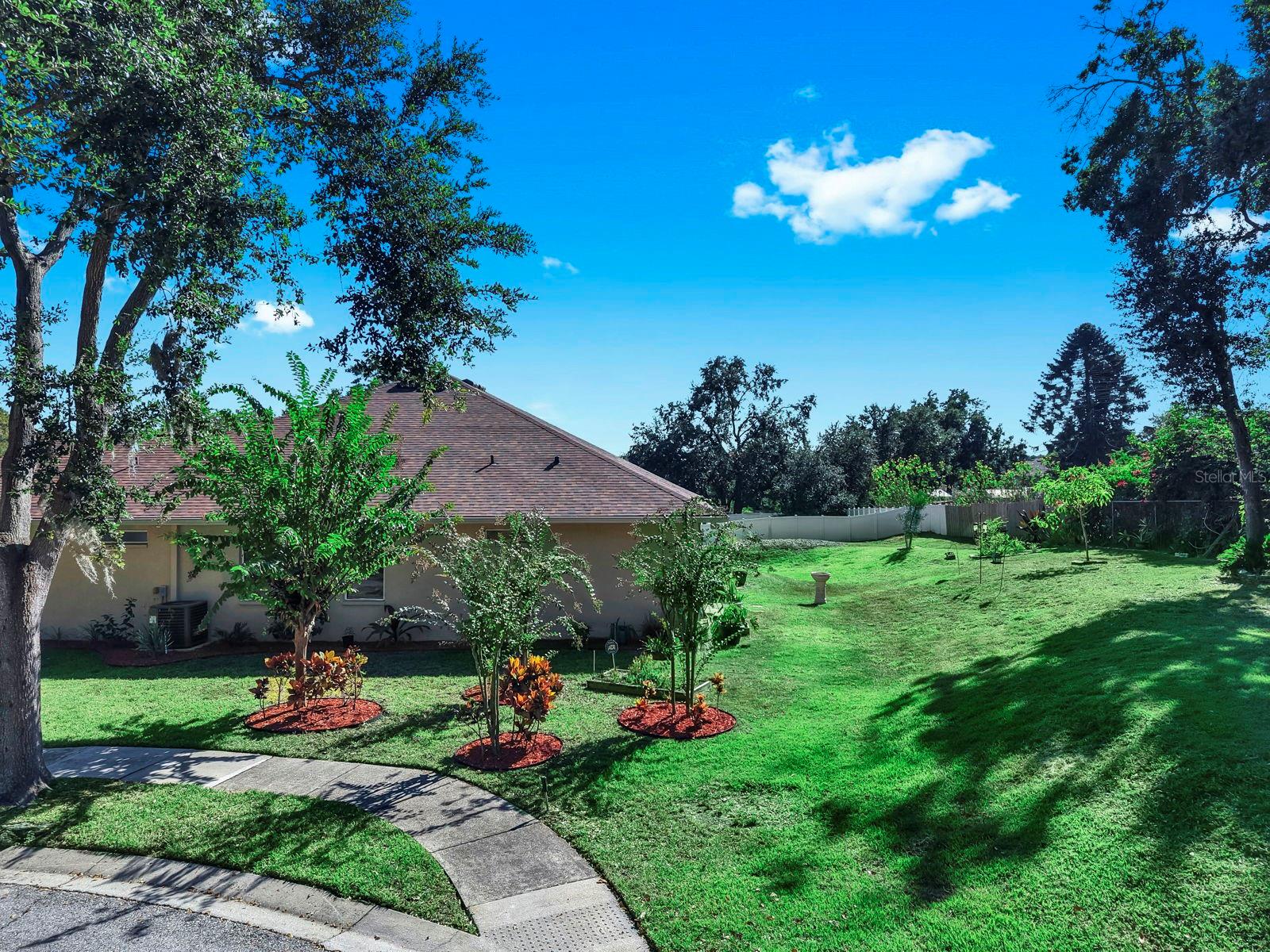 County Drain Above Grade-Bonus!