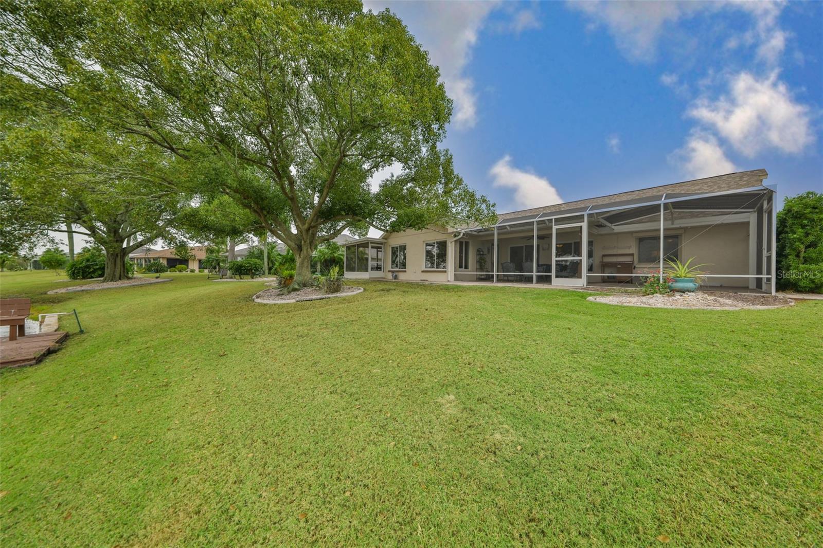 Beautiful Backyard with Shade Tree