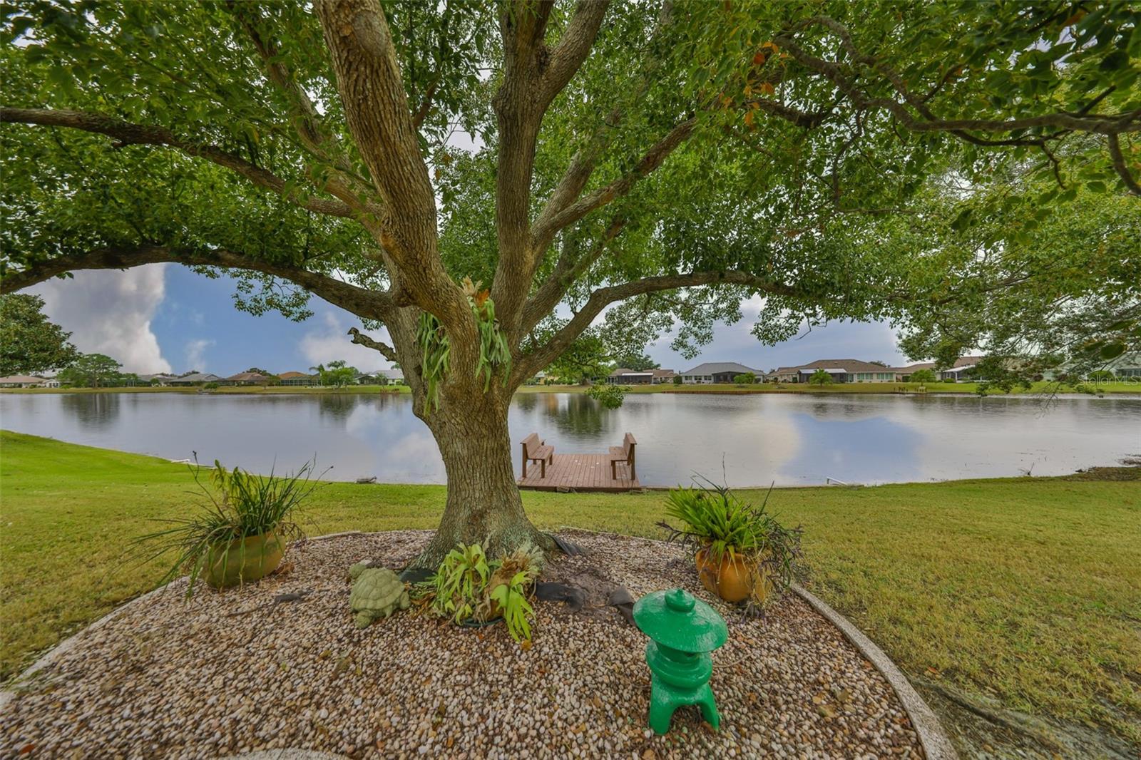 Large Shade Tree with Stunning Caloosa  Lake View