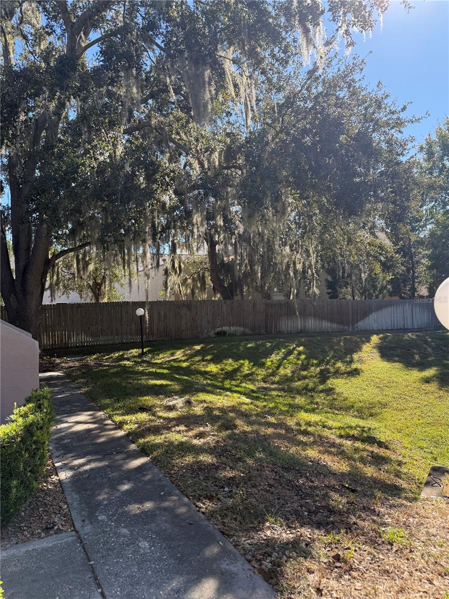 green space near condo