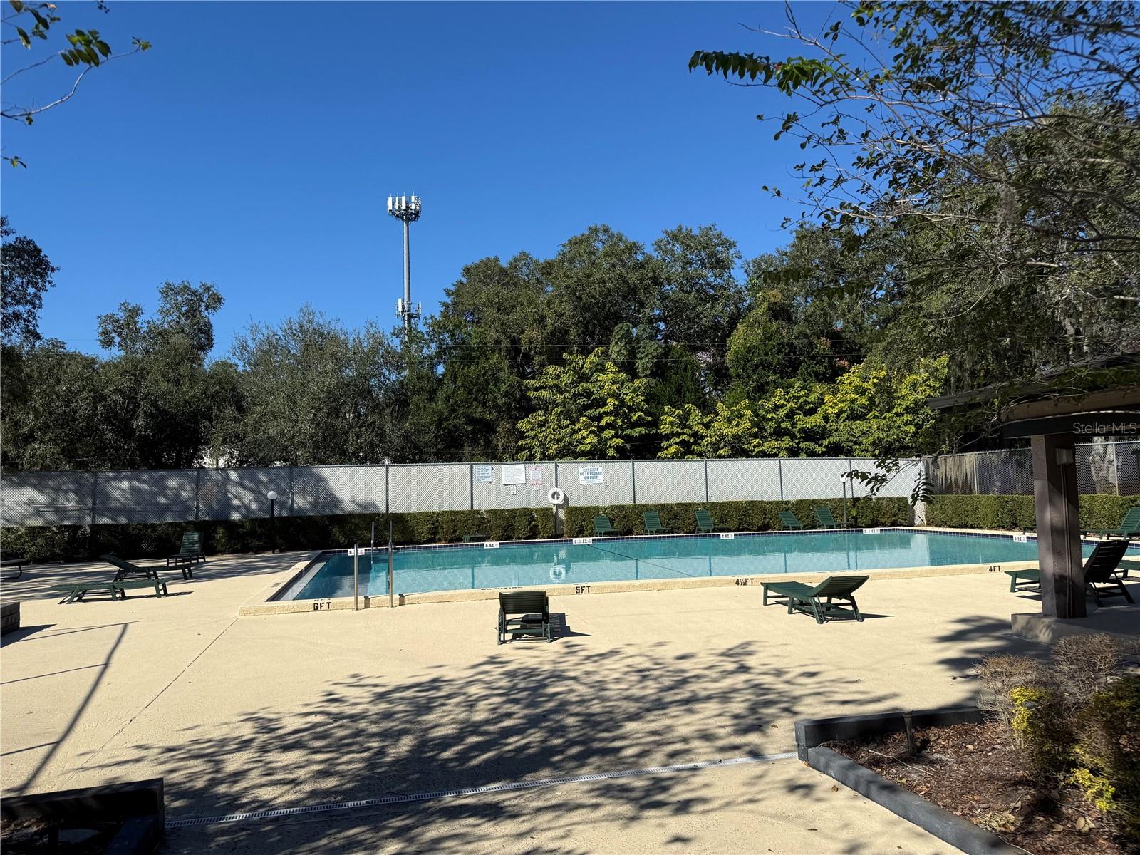 large pool and loungers