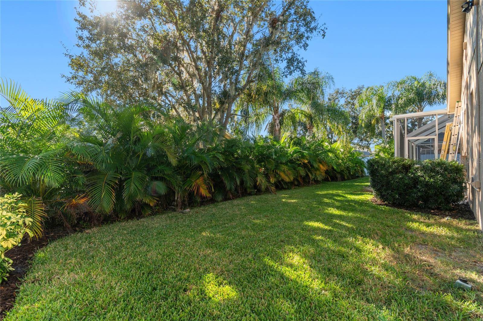 Backyard view - Tropical landscaping -- Fully fenced