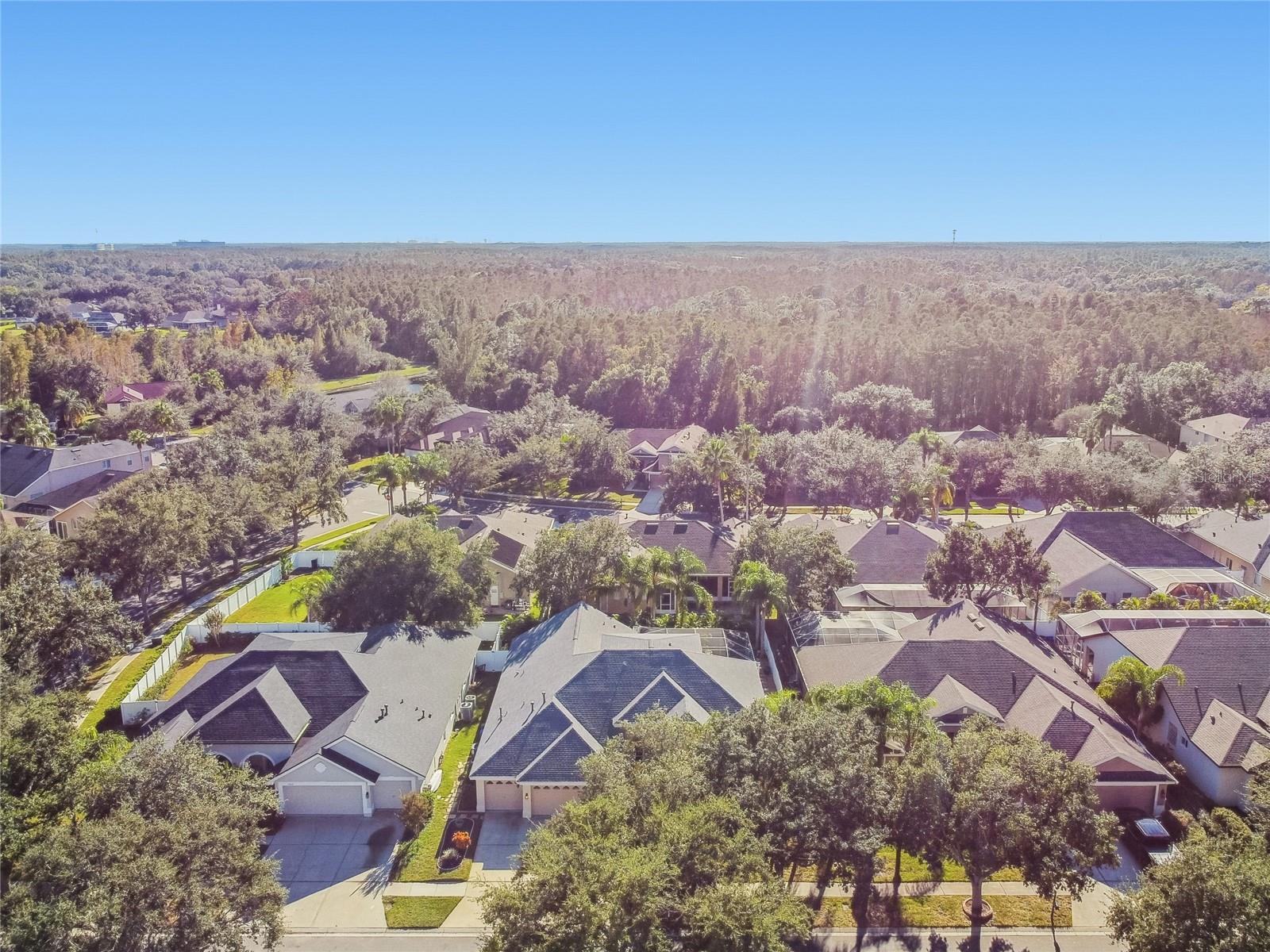 Aerial of neighborhood