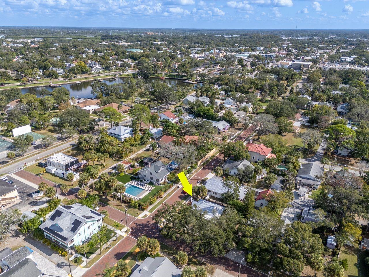 What a beautiful neighborhood!