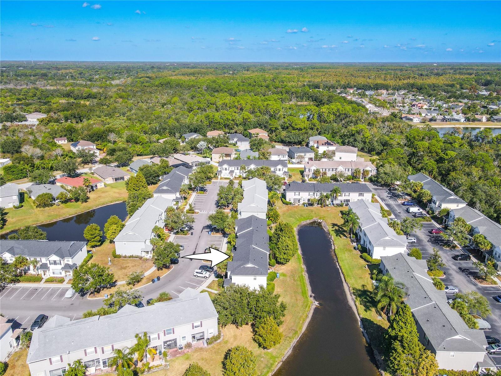 From high above, the ponds and expansive greenery capturing the heart of a vibrant yet tranquil community.