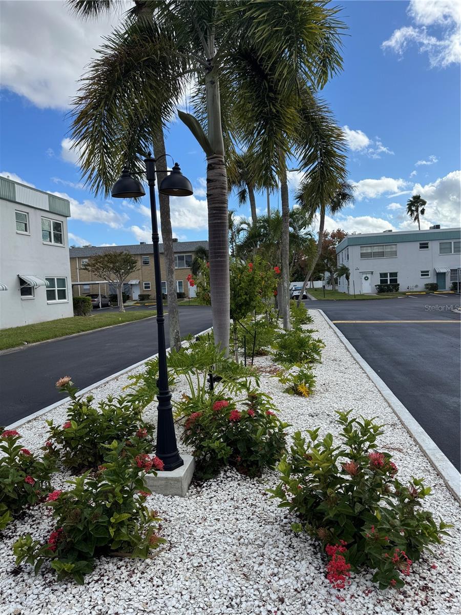 This is a closer look at how well maintained the landscaping is at Paradise Shores