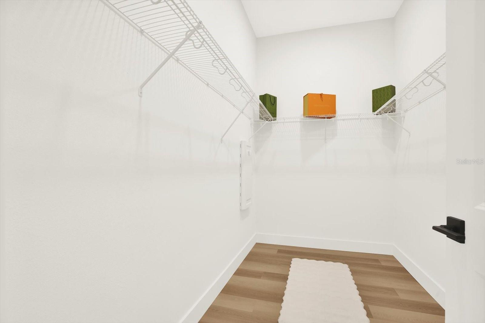 Primary Walk-In Closet