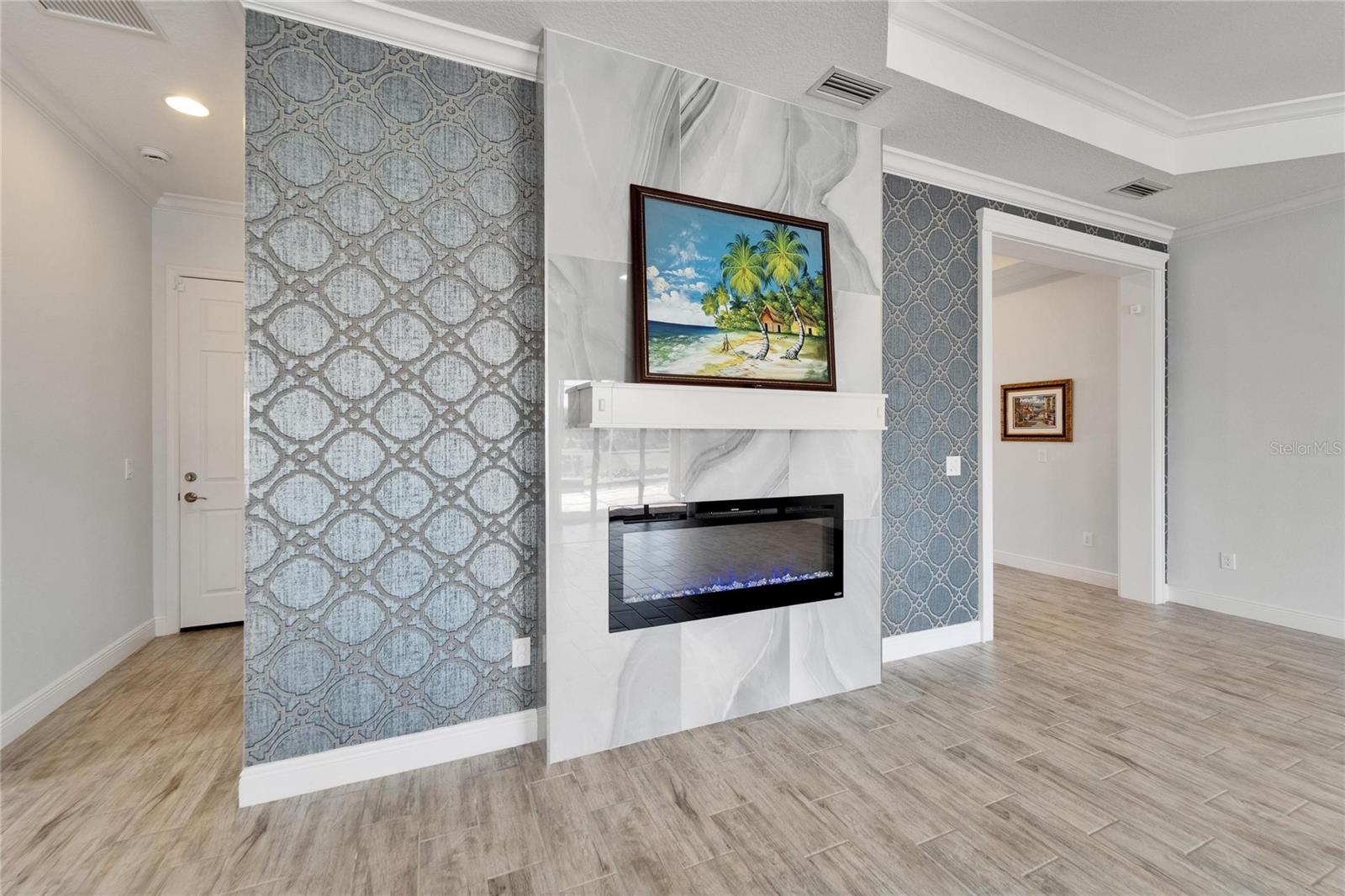 Family Room and Fireplace