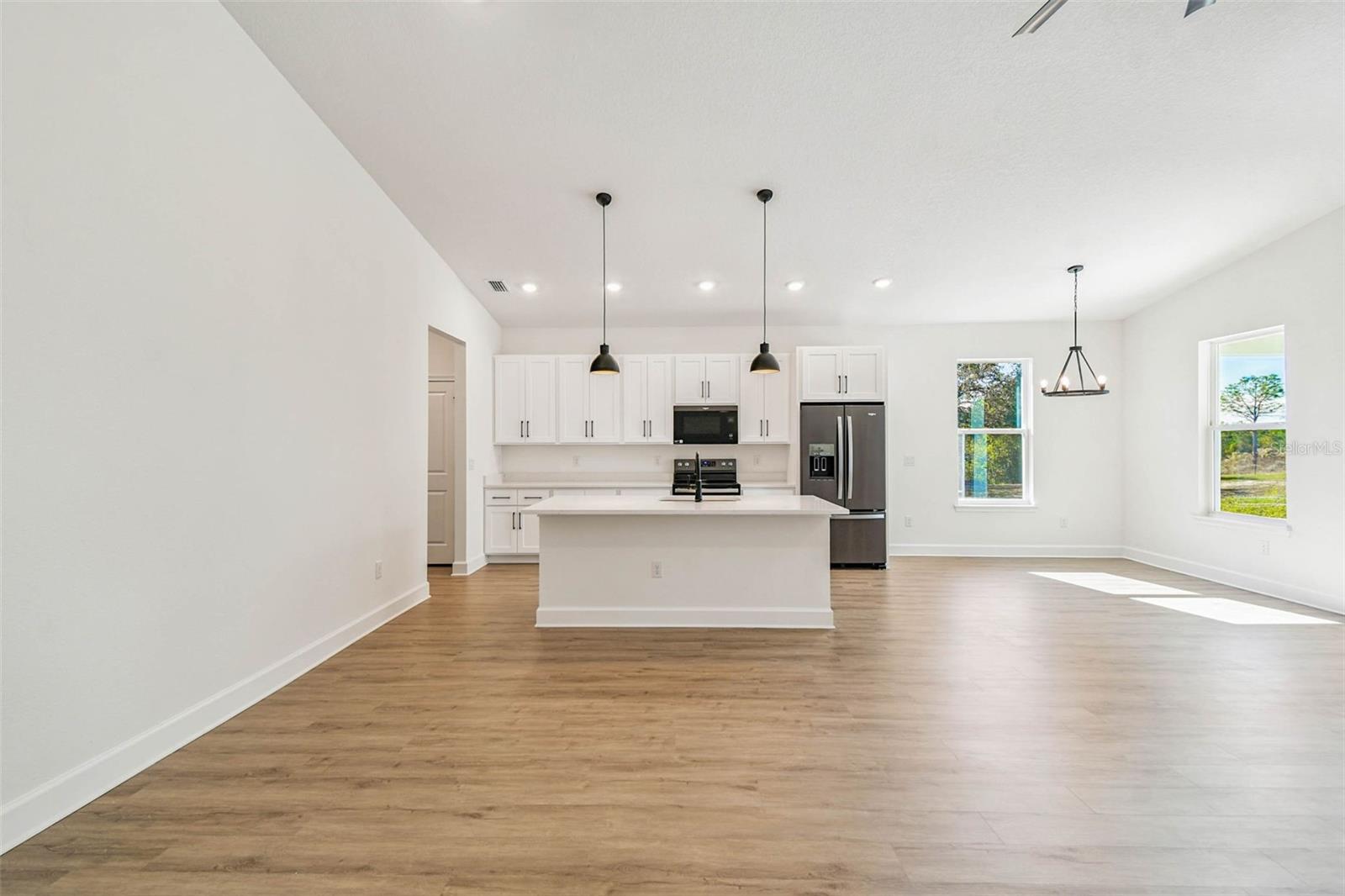 Kitchen and Living room