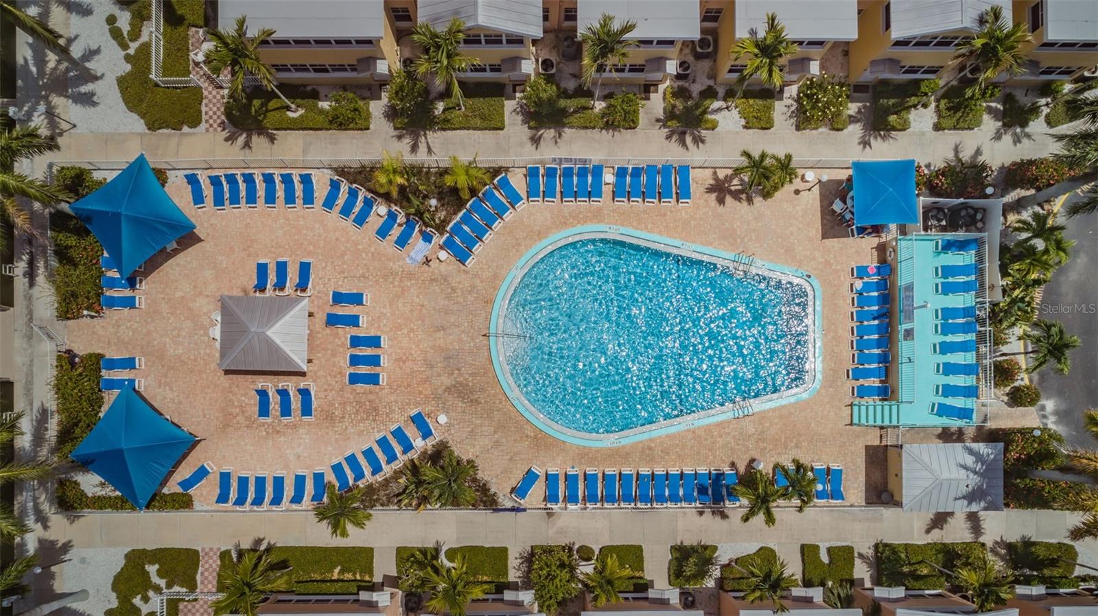 POOL19417 Gulf Blvd, Unit F207, Indian Shores, FL 33785