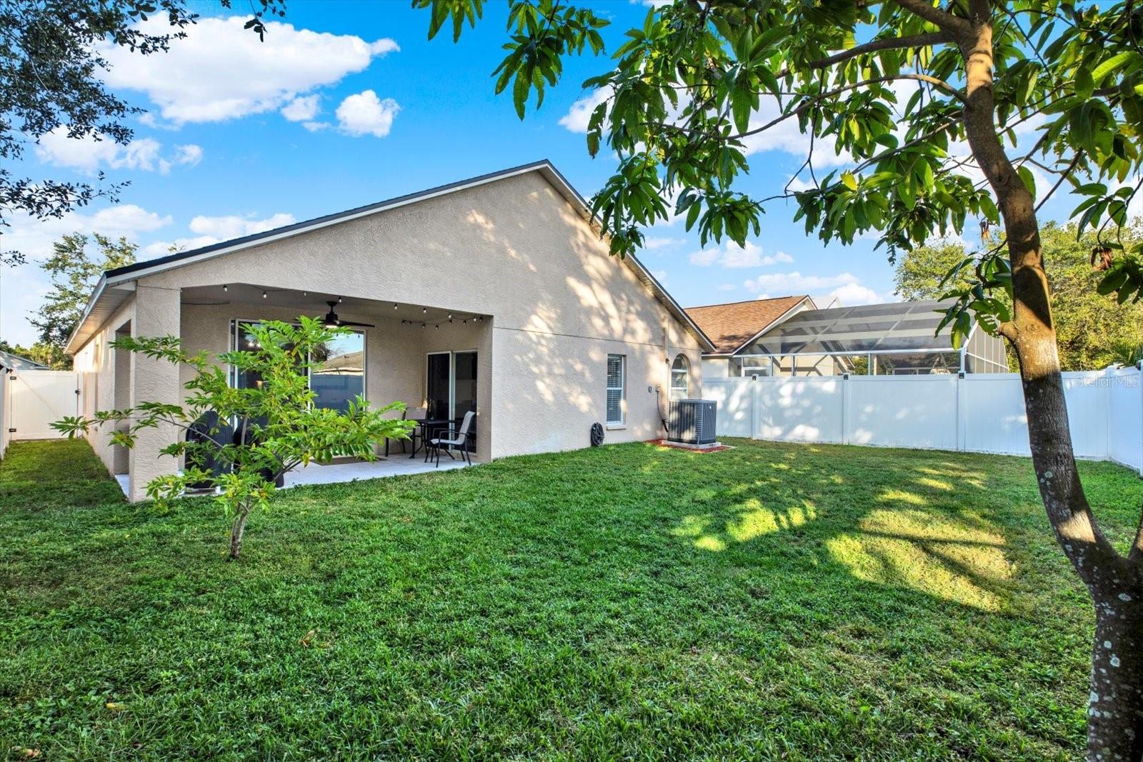 Fully Fenced Backyard