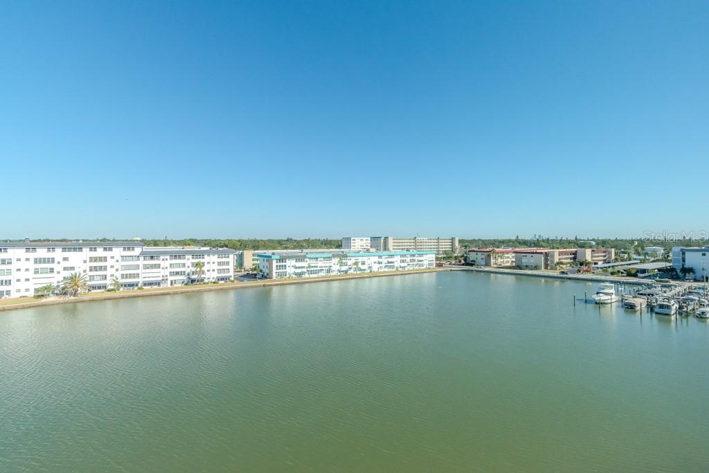 View out Florida Room