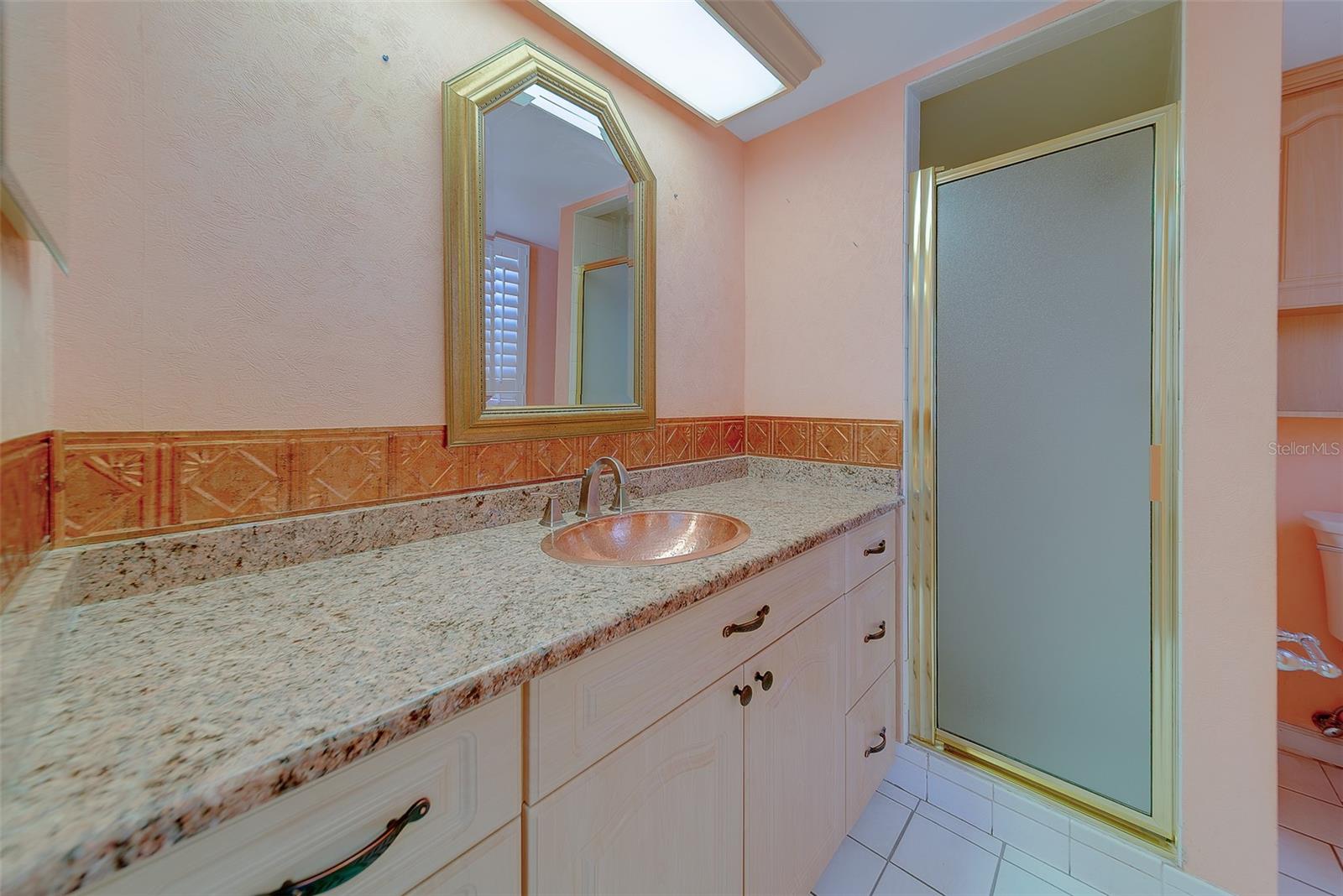 Solid Surface Counters