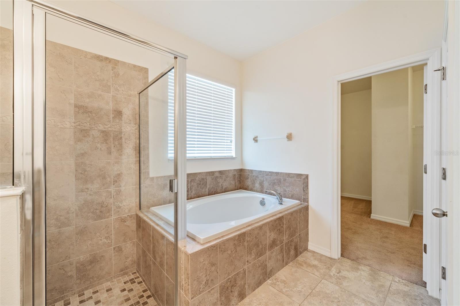 Master Bathroom, Large Shower, Separate Tub and a large Closet