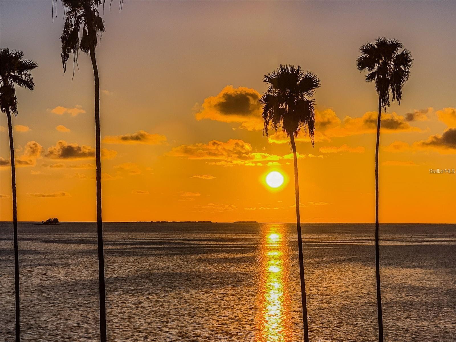 Enjoy jaw dropping sunsets nearly every evening~