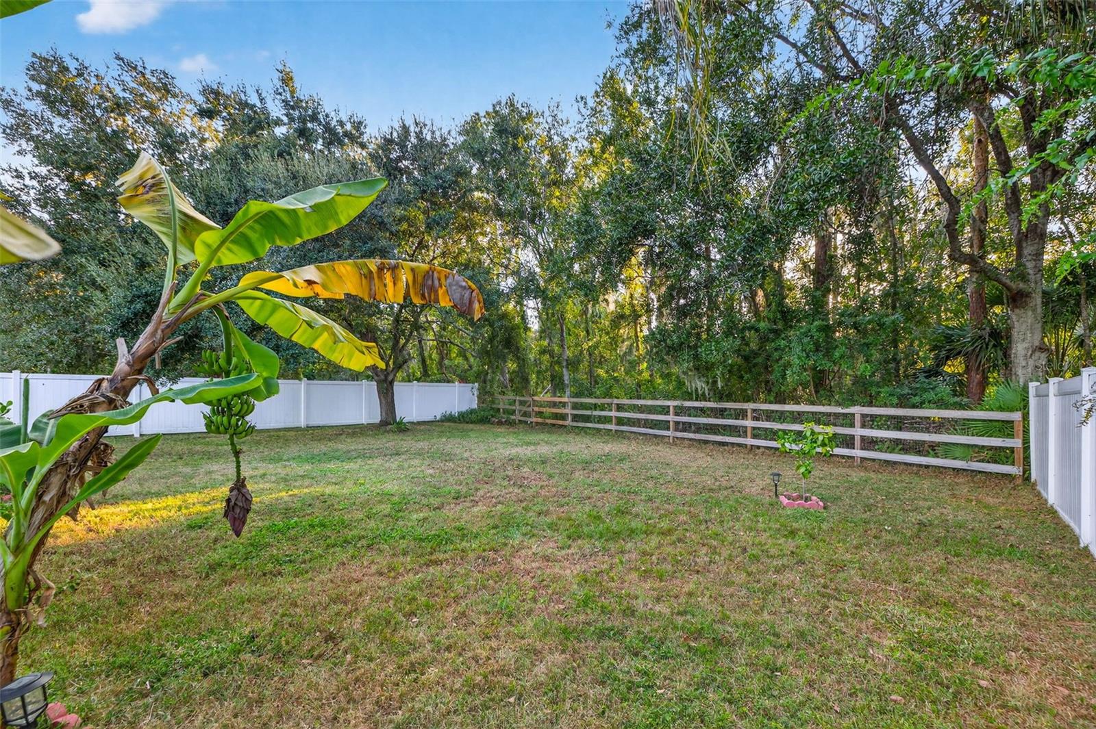 Large private backyard