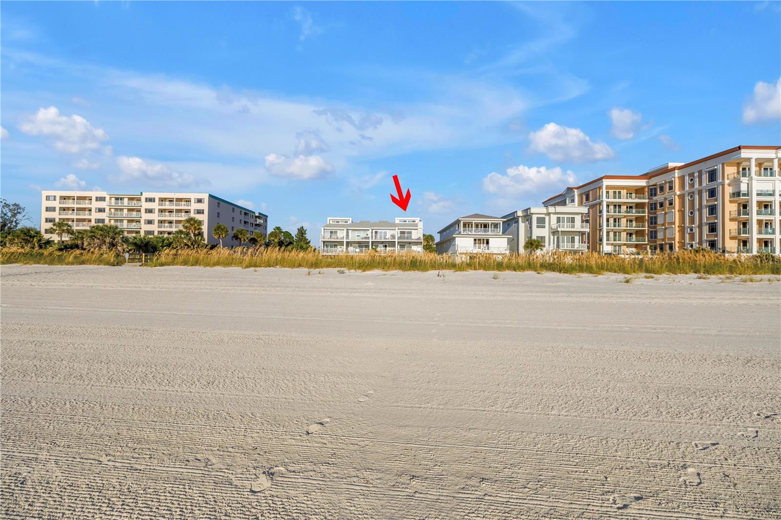 Your future backyard