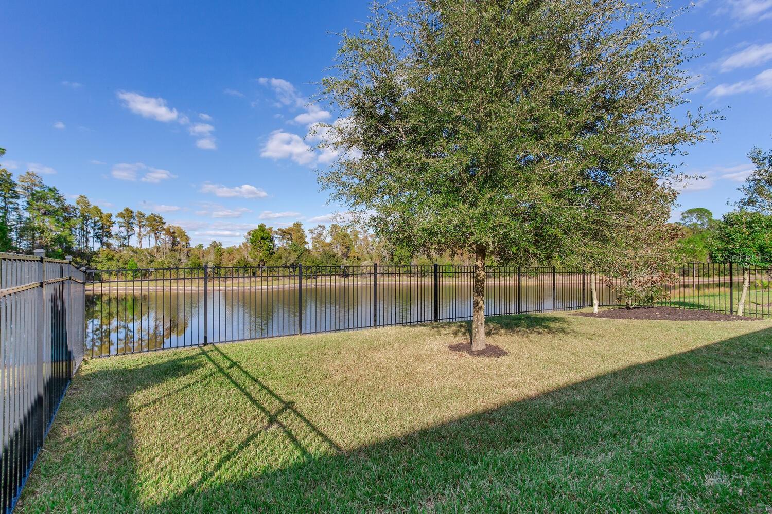Fenced Backyard Conservation View
