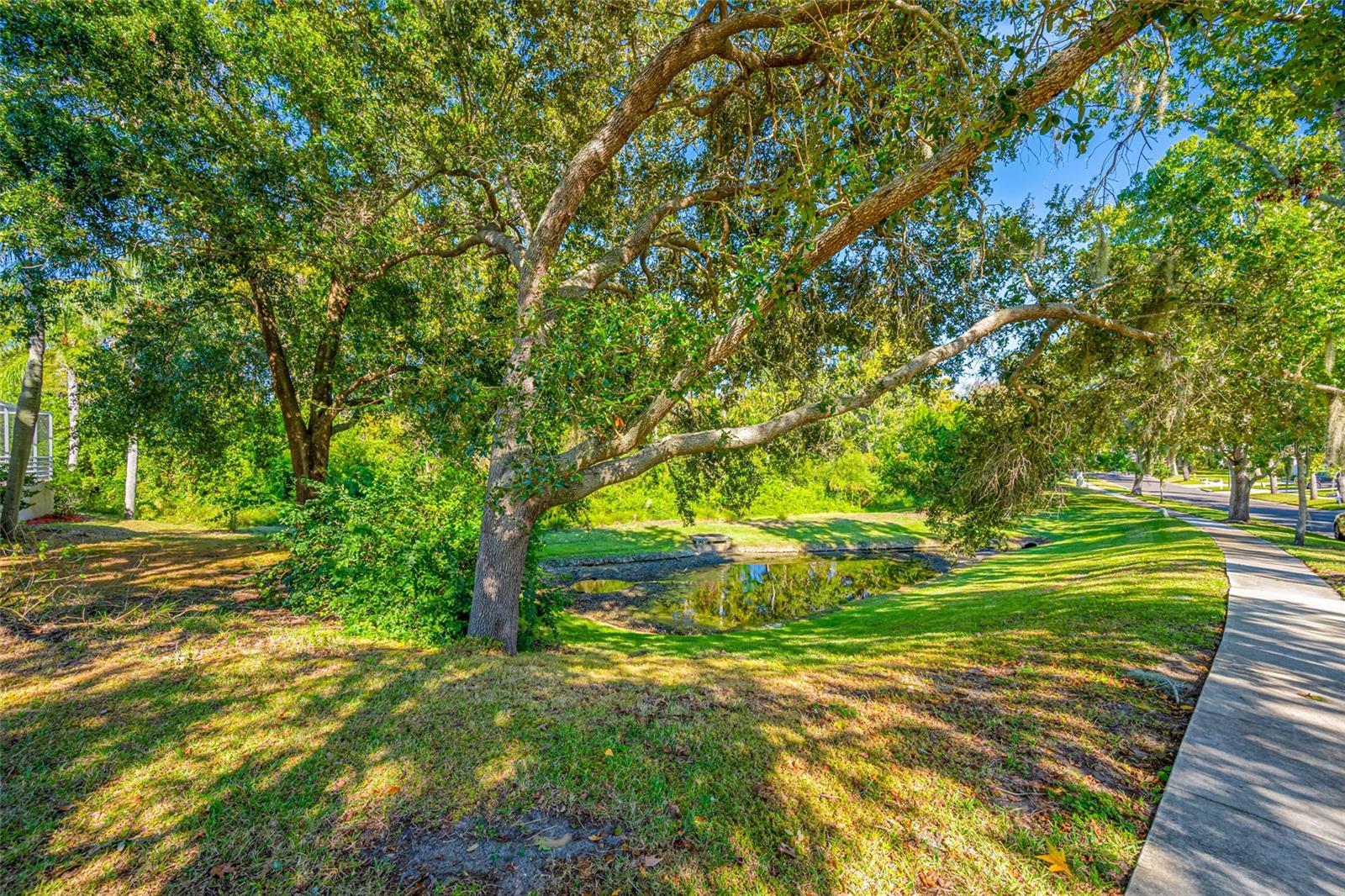 Preserve area to the east of home