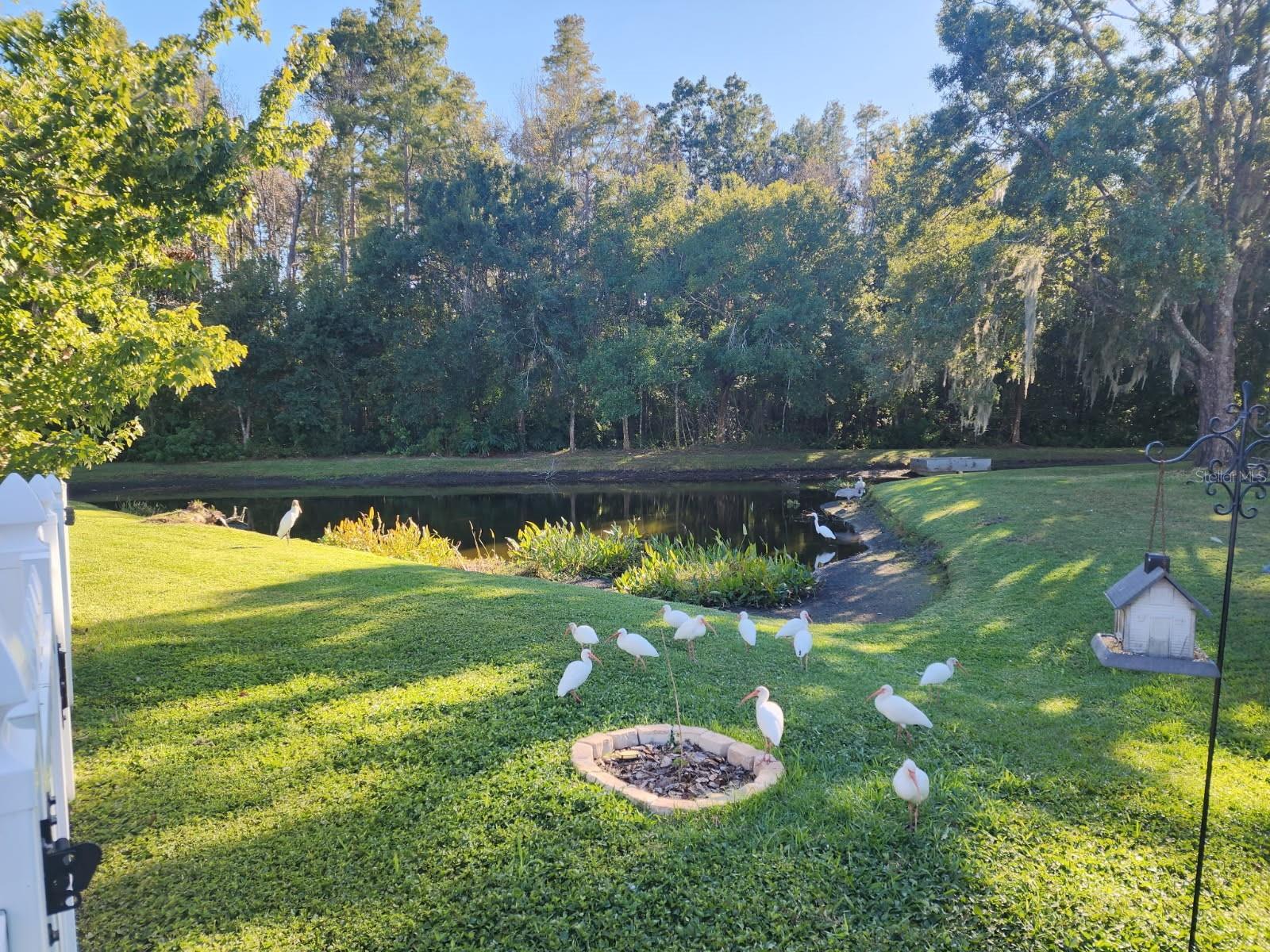 VIEW OF POND WITH POOL