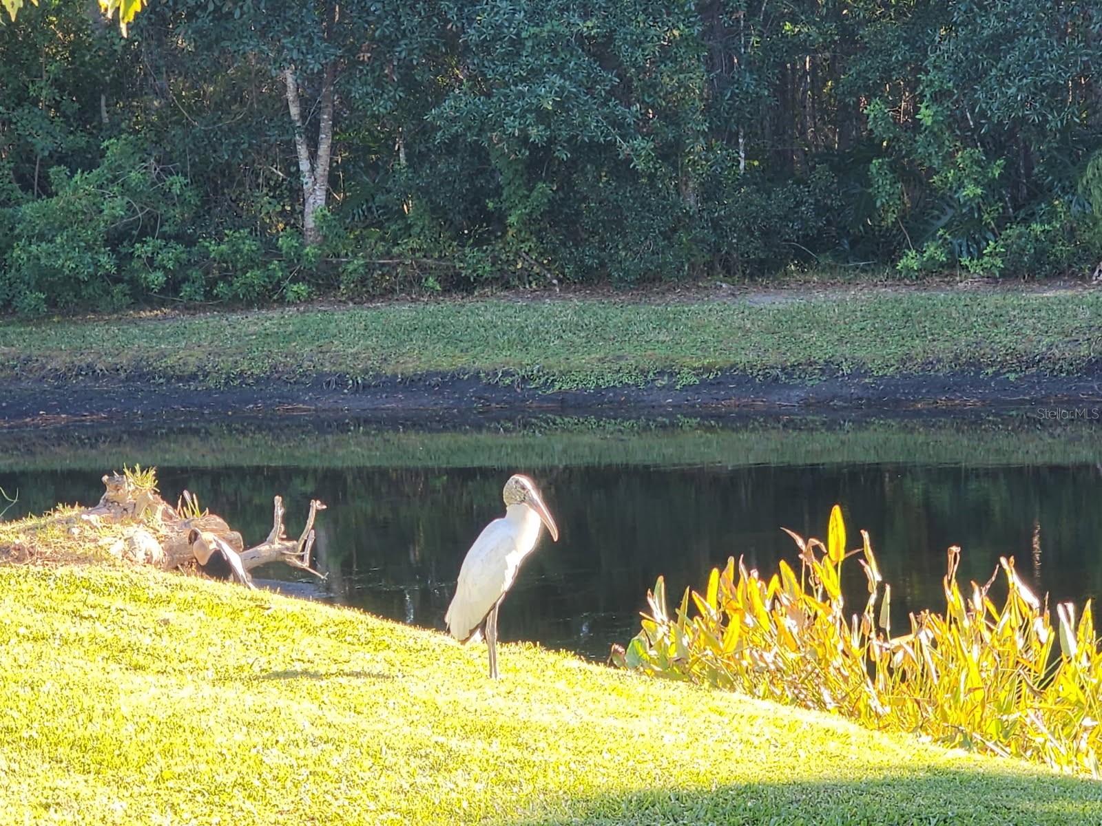 INTERACT WITH NATURE