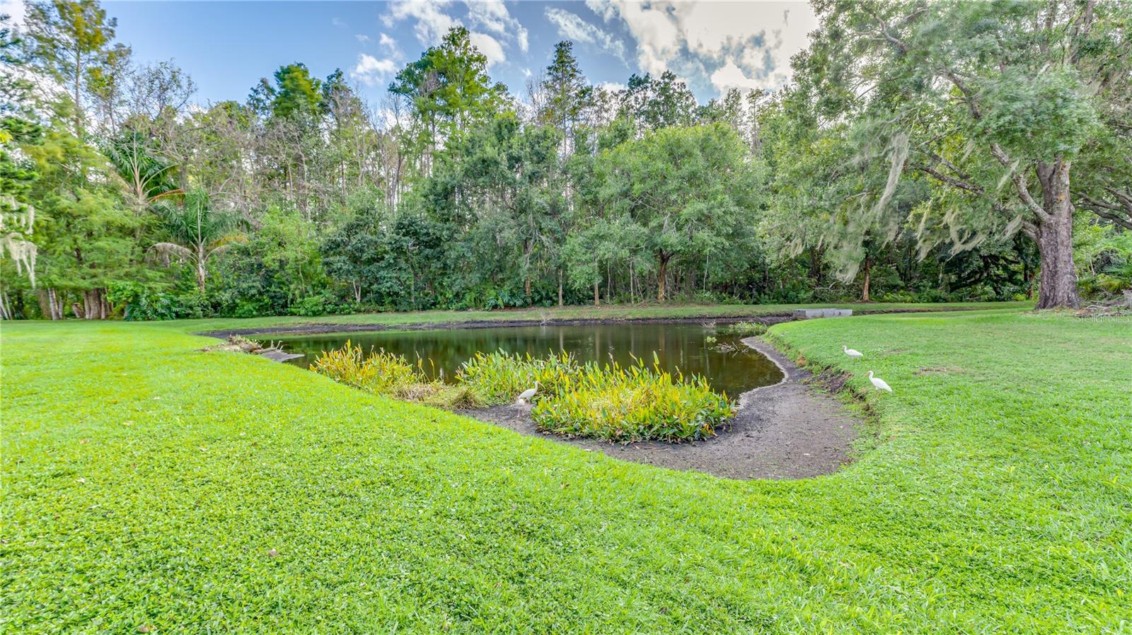 VIEW OF THE POND FROM BACK PATIO