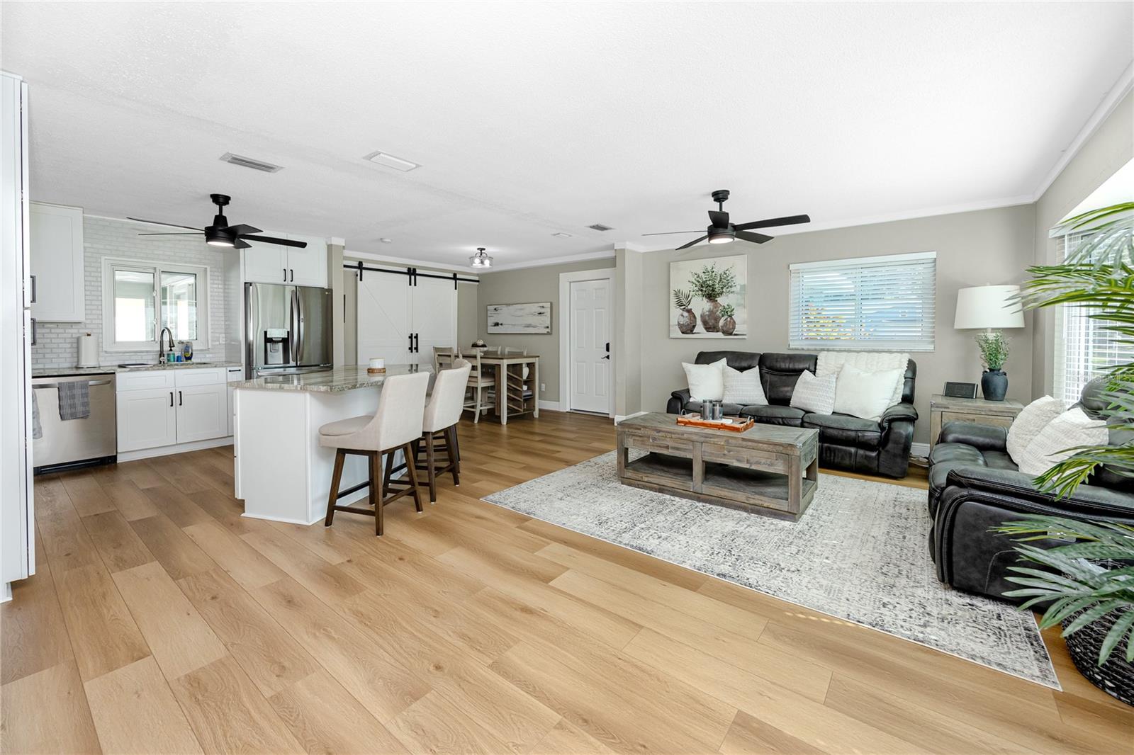 Living Room and Kitchen