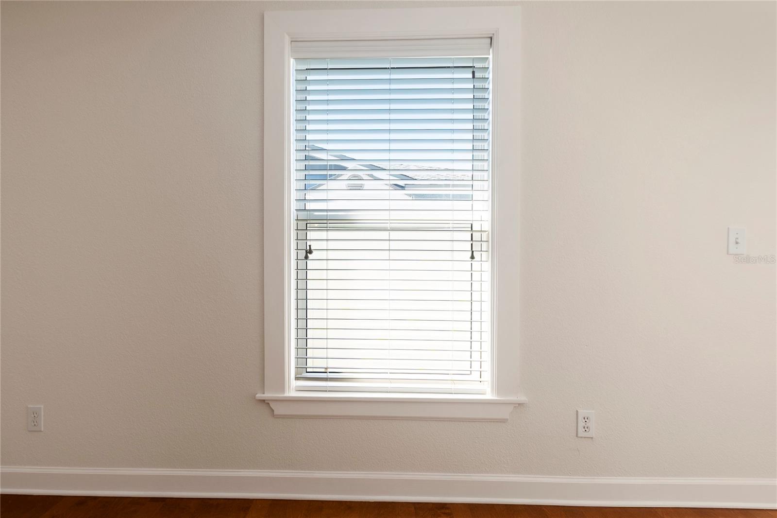 Custom wood trim around windows