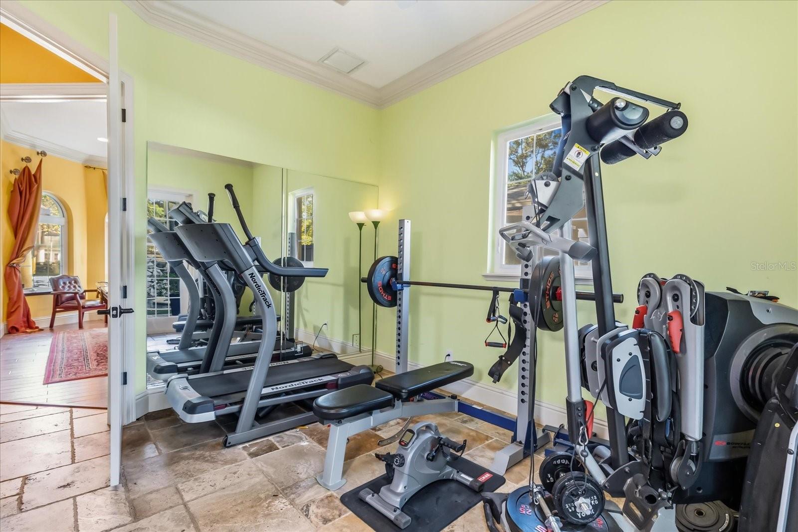 Bonus Room: Gym with ensuite full bathroom and pool oasis french door access.