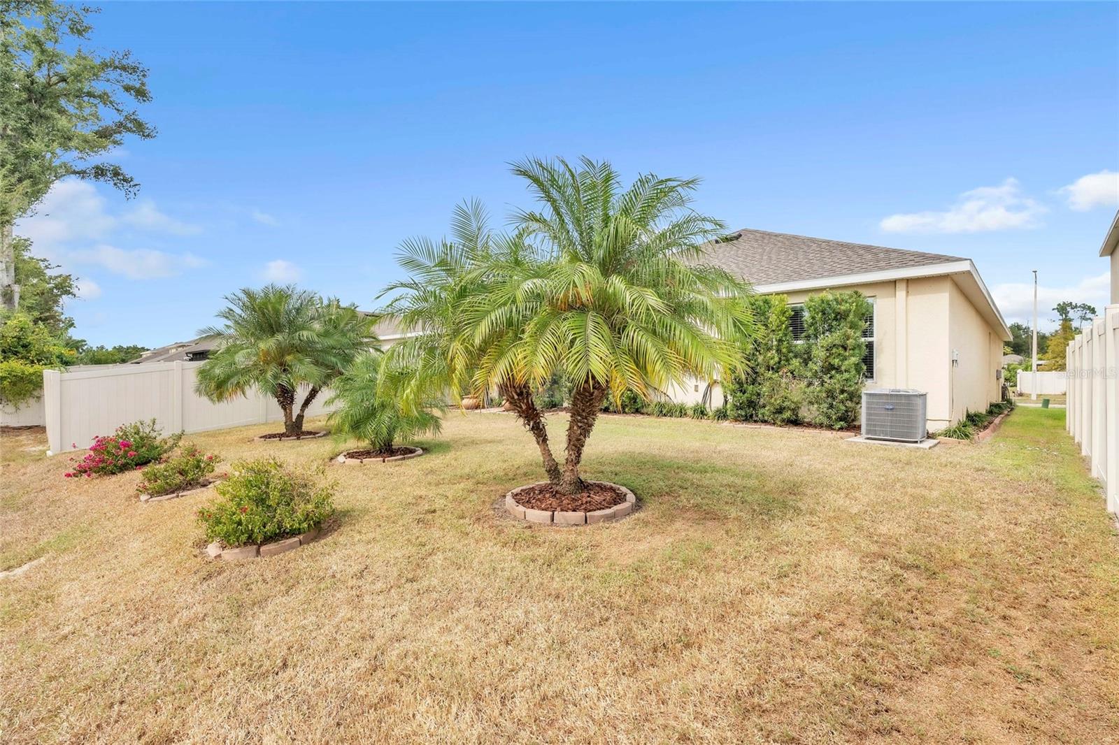 Backyard with mature landscaping