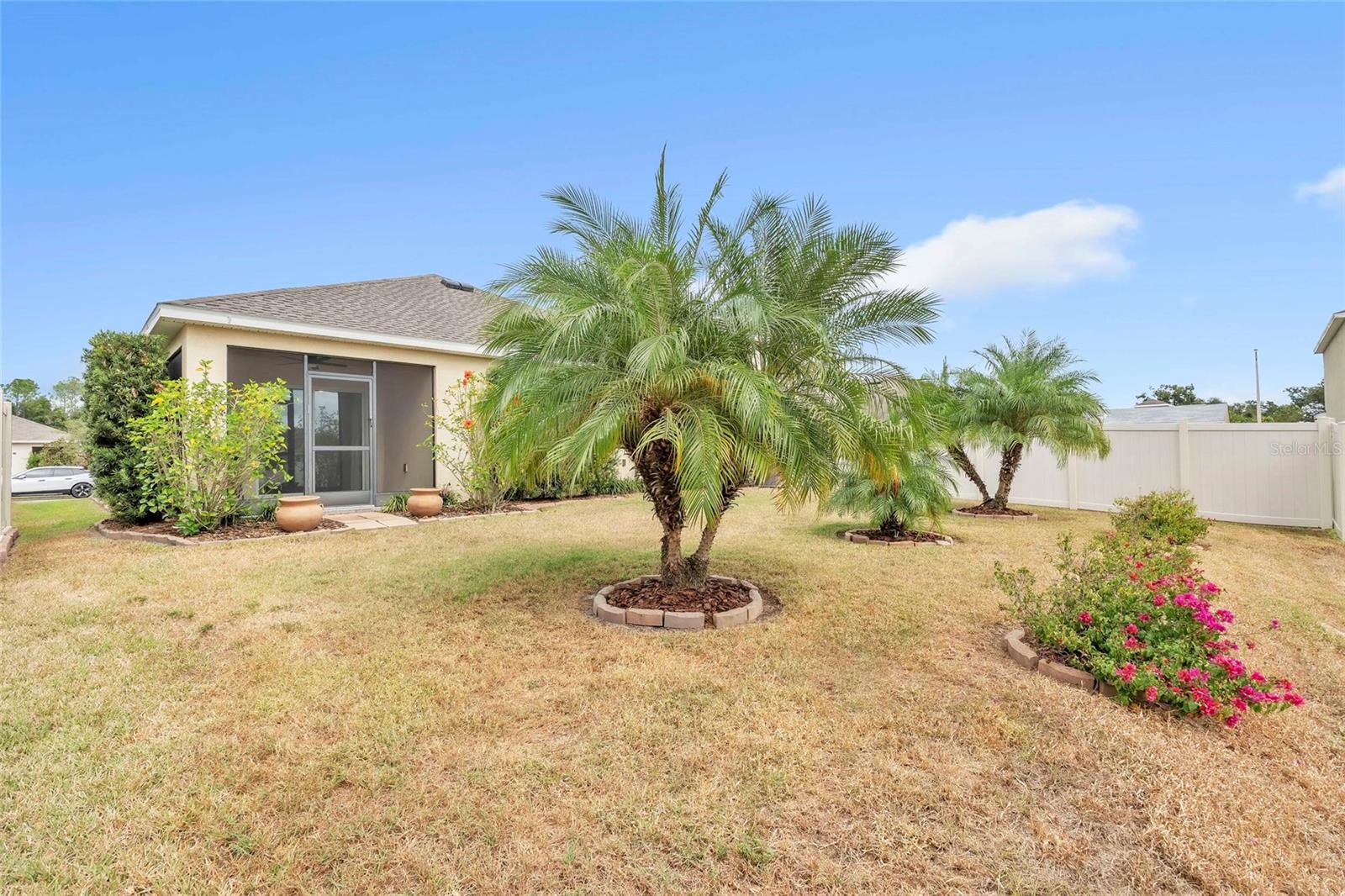 Backyard with mature landscaping