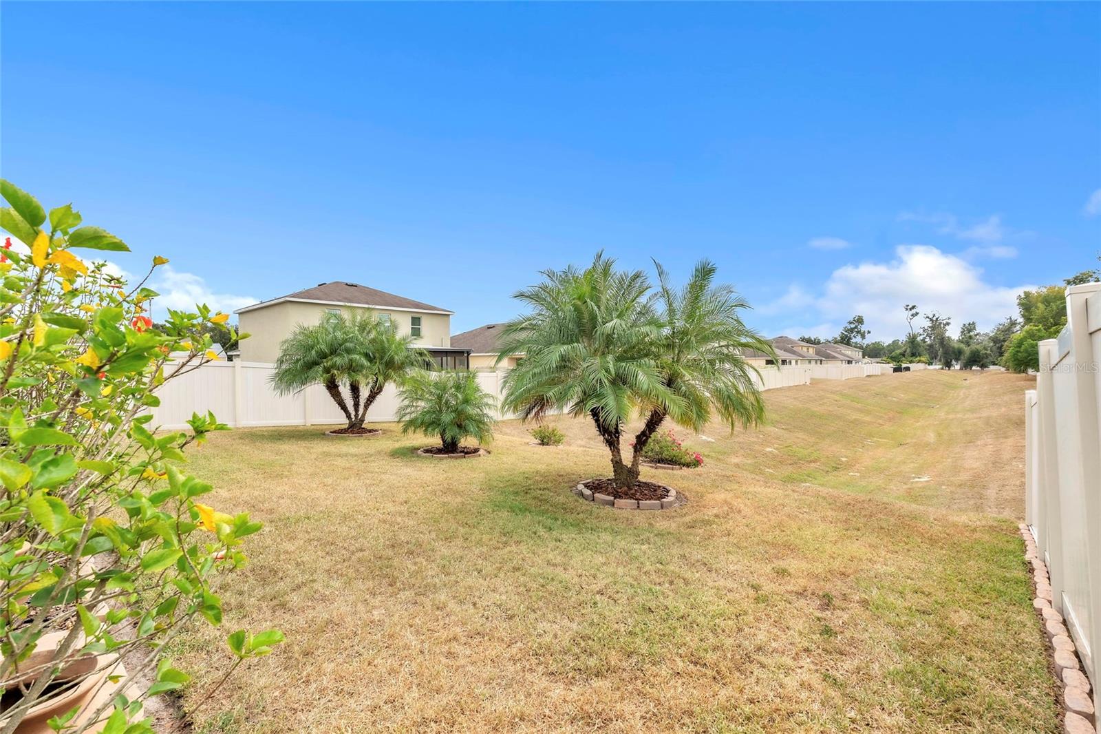 Backyard with mature landscaping