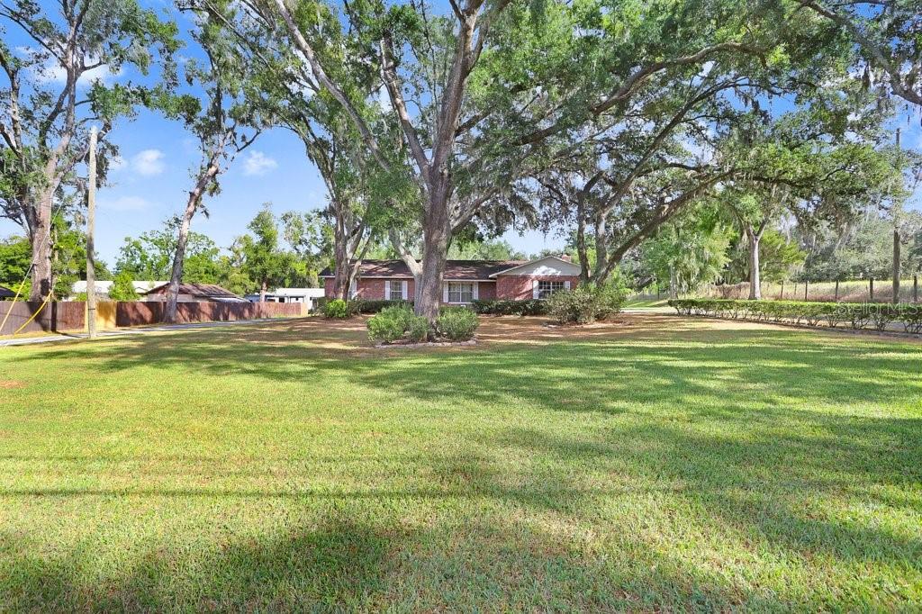 OVERSIZED 1.5 acre lot