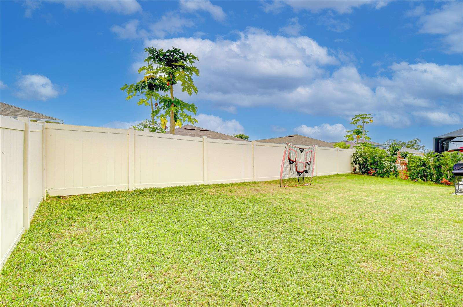 Build your dream oasis!