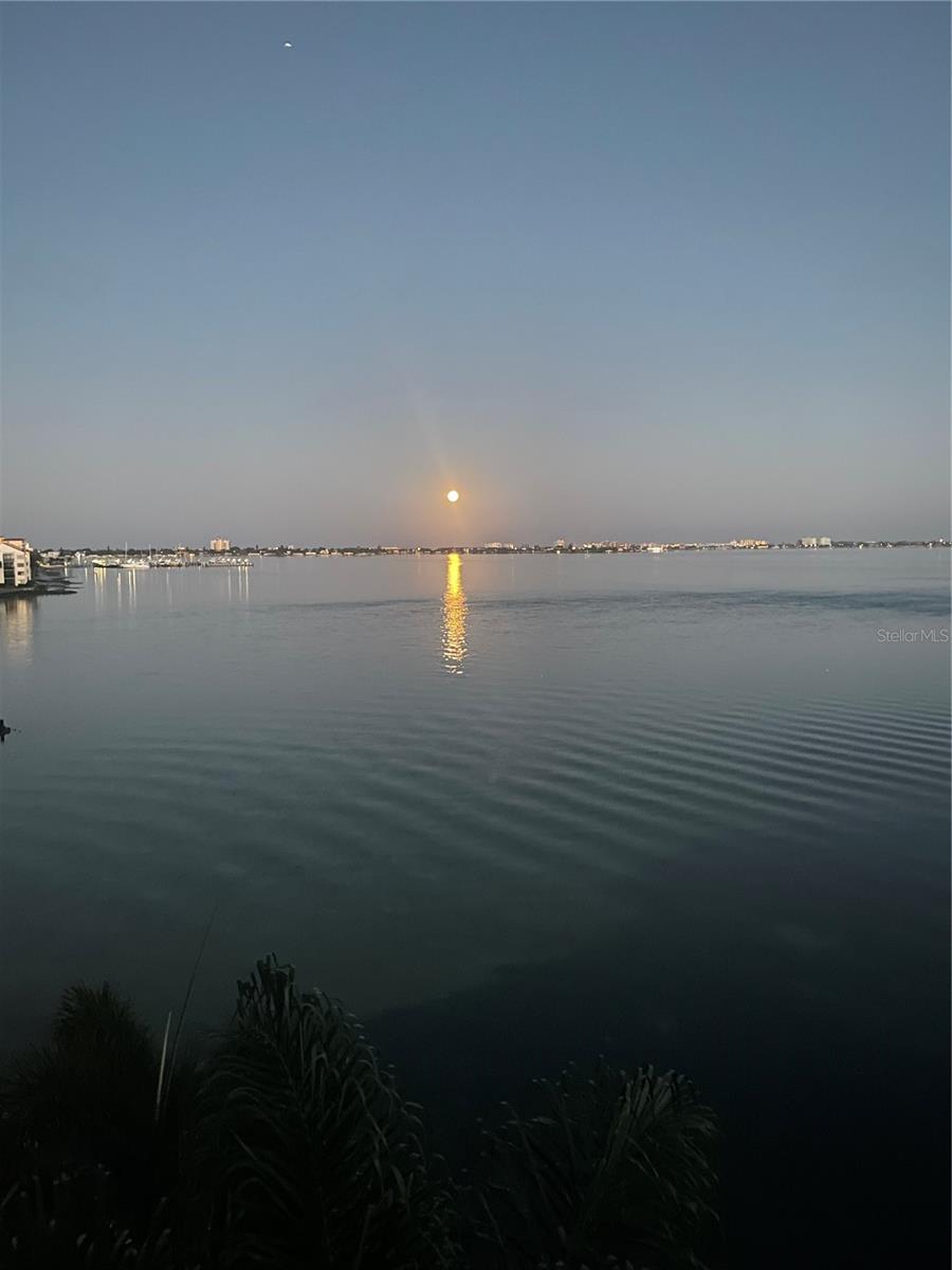 Moon Setting over the Bay