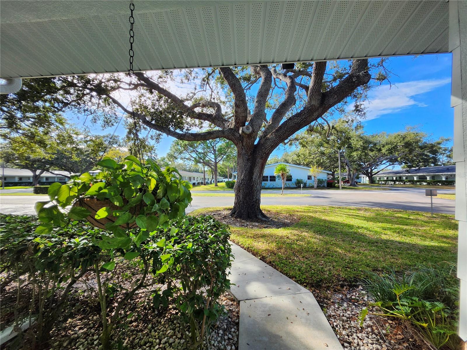 Looking out from front door
